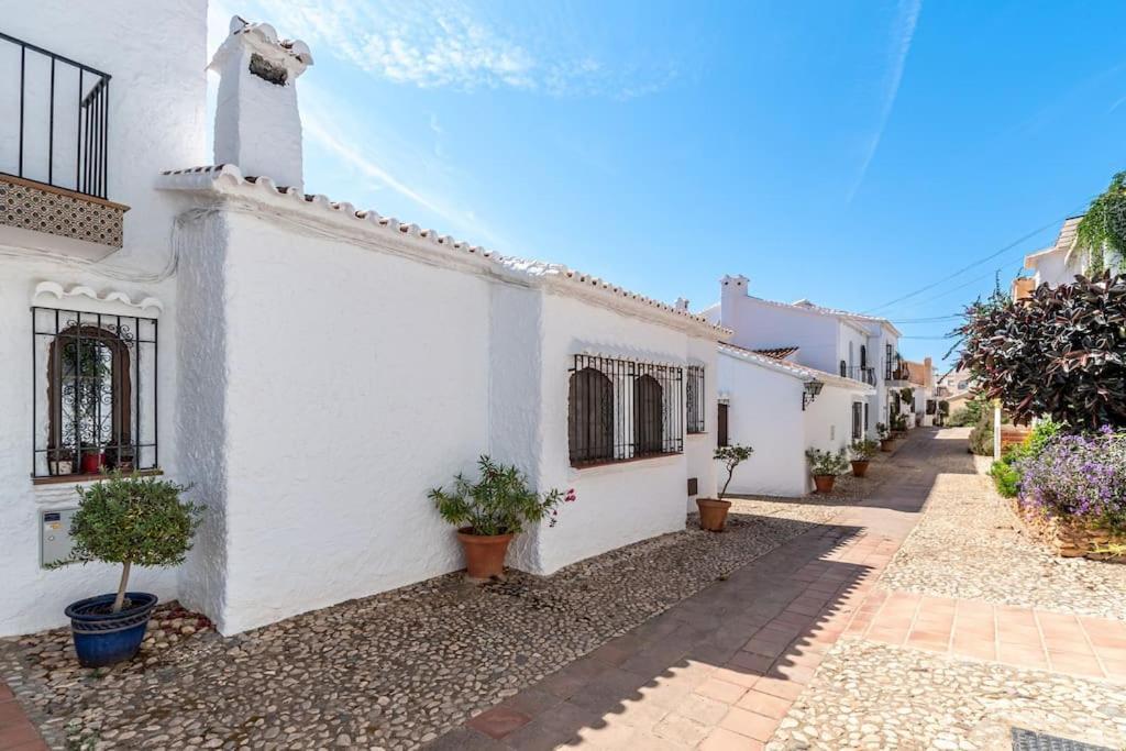 Olivo De Capistrano * Nerja