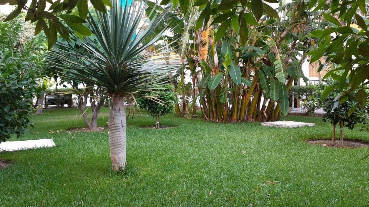 Rincon Mediterraneo * Nerja