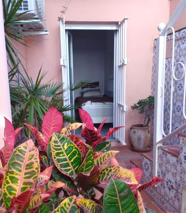Amazing 3 Bedroom Townhouse Close To Burriana, Apartamento Nerja