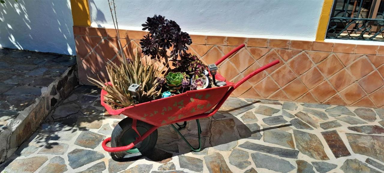 Bella Sirena Casa de férias