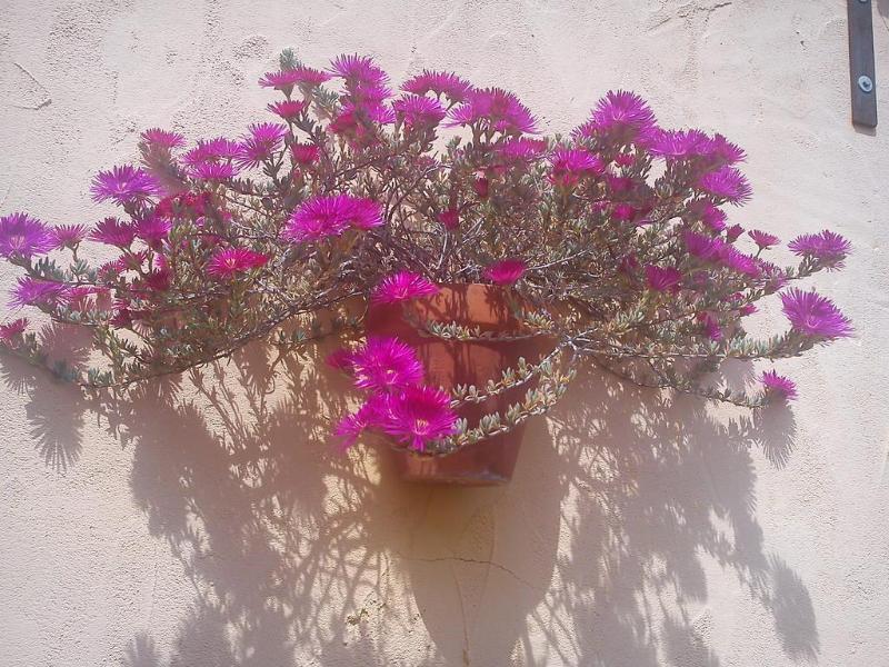 Boutique Lorca 2*