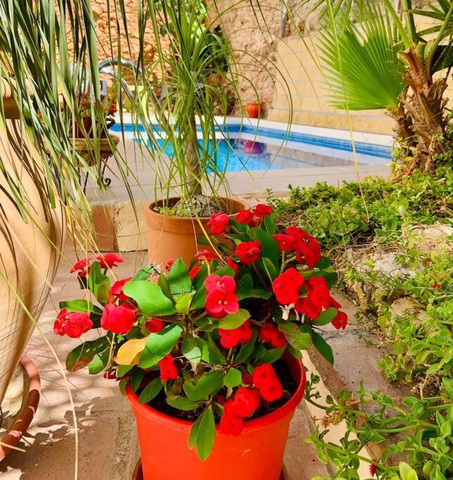 Atico, Terraza & Piscina By Boutique Lorca,