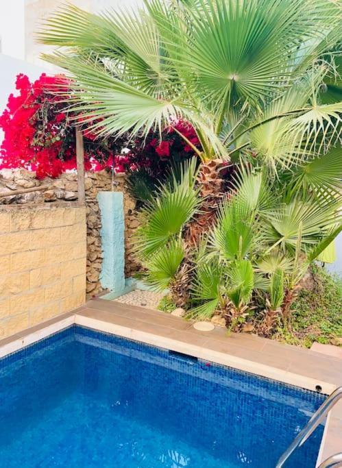 Atico, Terraza & Piscina By Boutique Lorca, * Nerja
