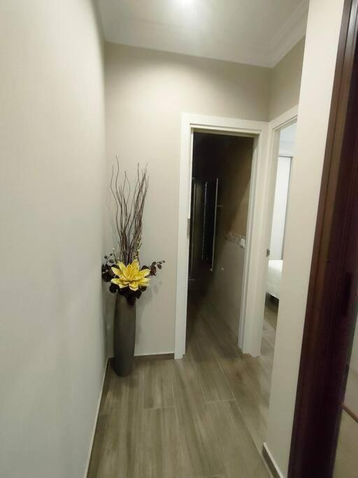 Apartamento Apartamento Amalia