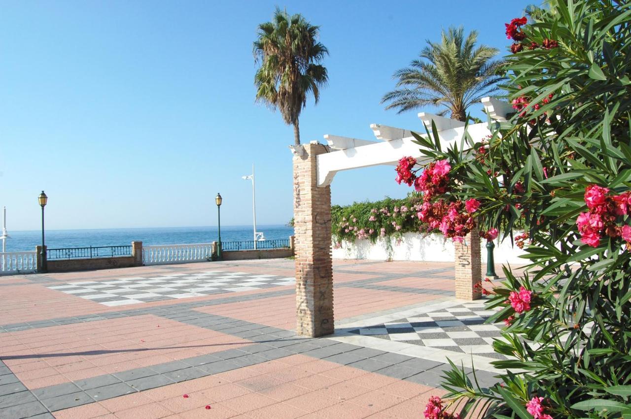Delfin Apartamento *