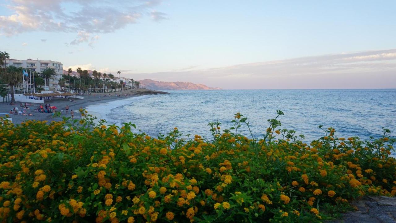 Apartamento_nerja Apartamento *