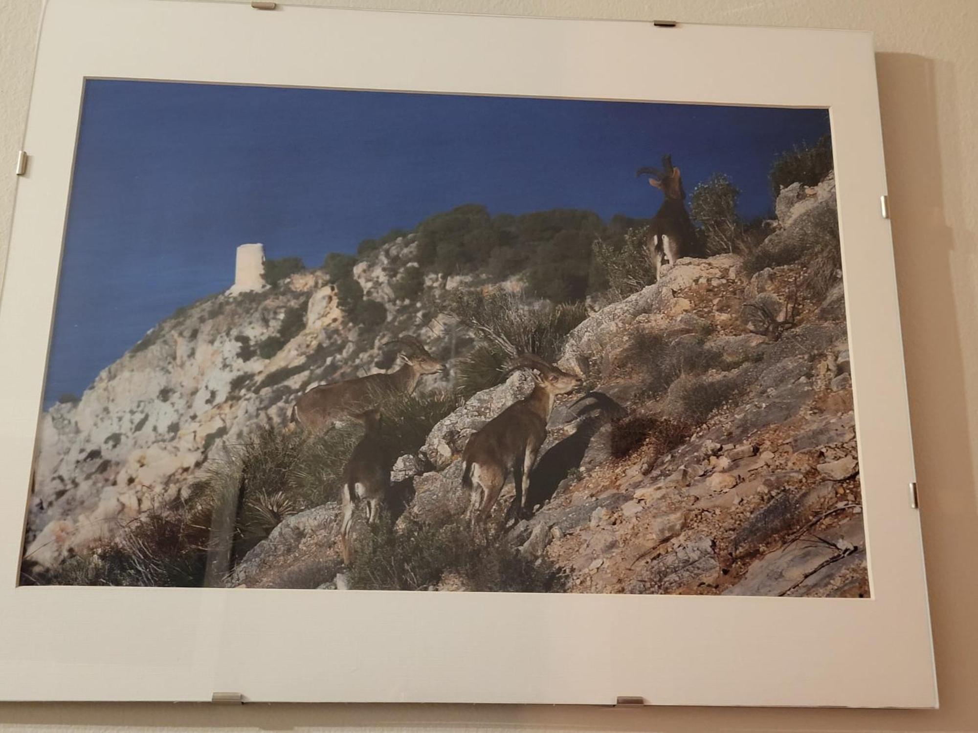 Apartamento La Morada Del Mar