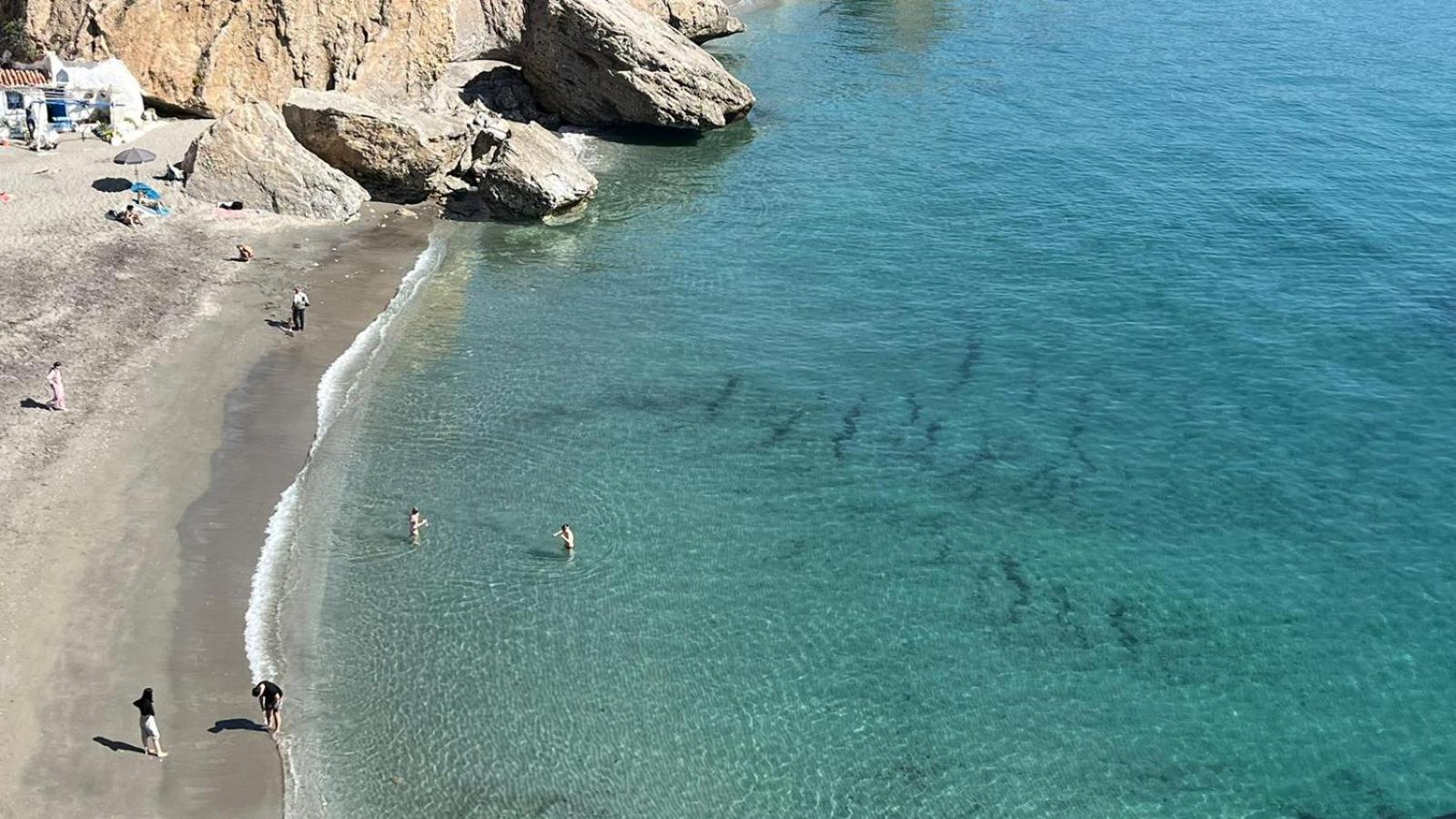 Delfin Apartamento