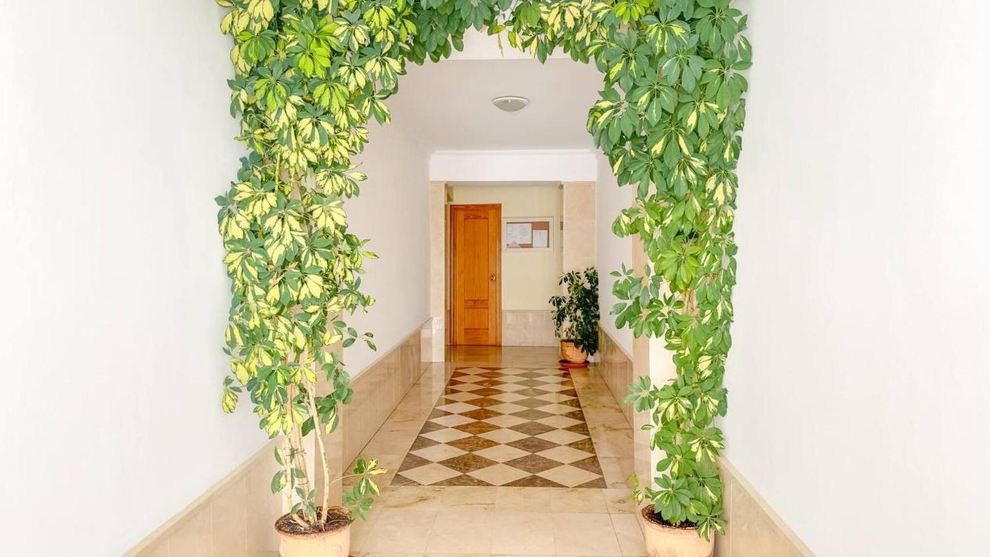 Cd-1941 Two Bedroom With Patio Apartamento