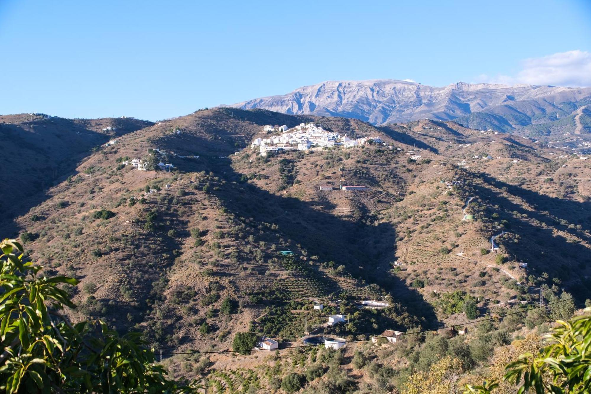 Casa Primavera.