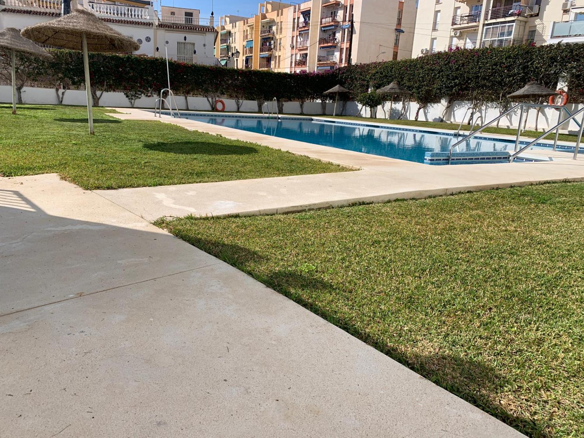 Delfin Apartamento *