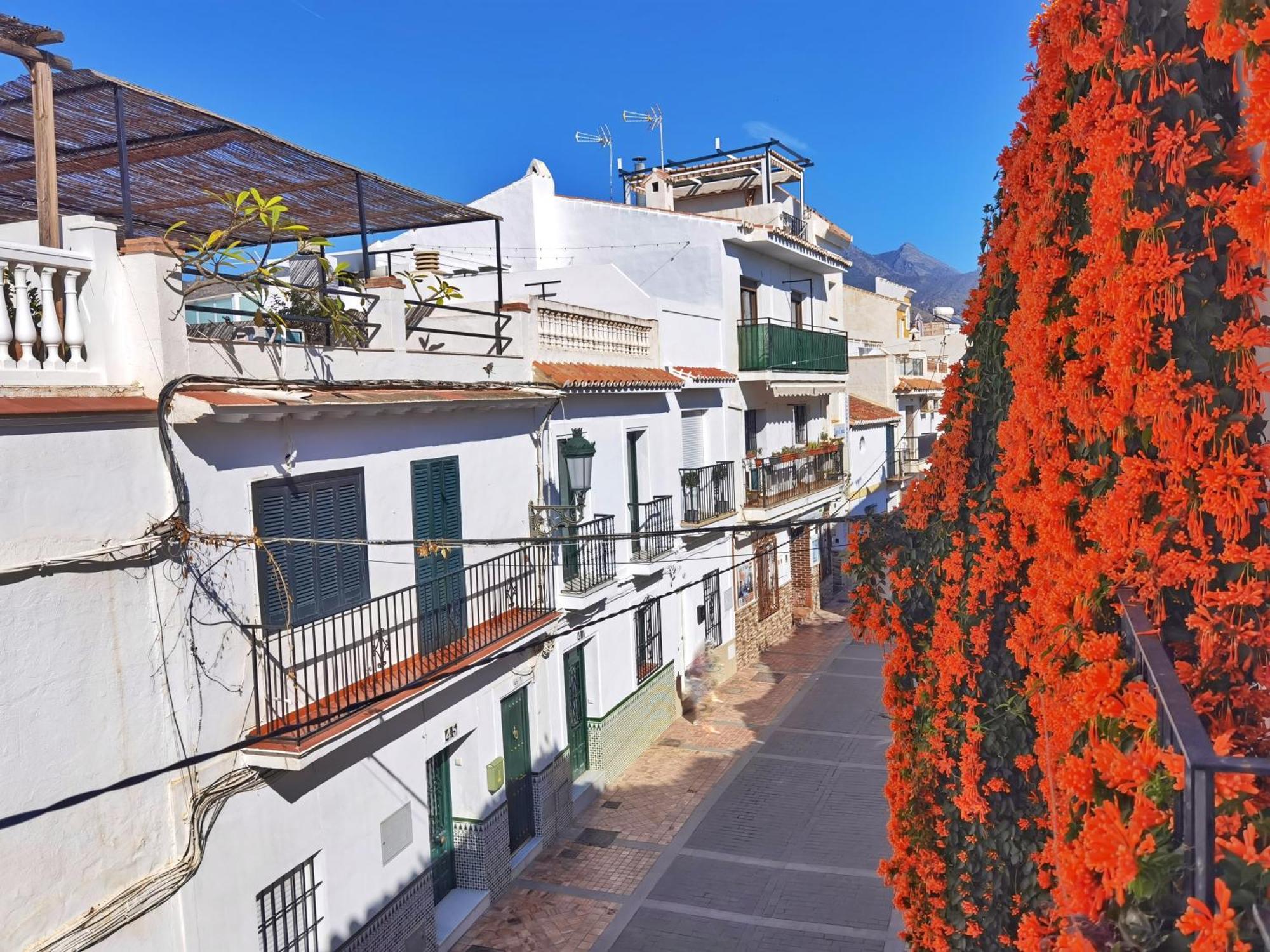 Solecito Seaview In Carabeo Nerja