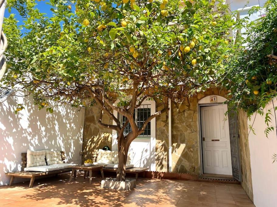 Casa Limon Apartment Nerja