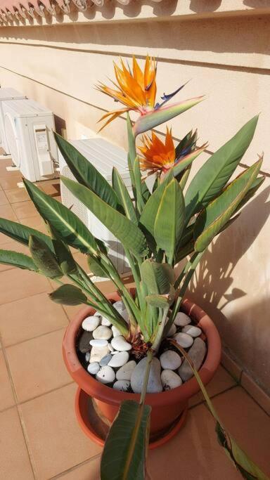 Apartamento A2401 Penthouse Torrecilla Beach, La Cala De Ii, Nerja