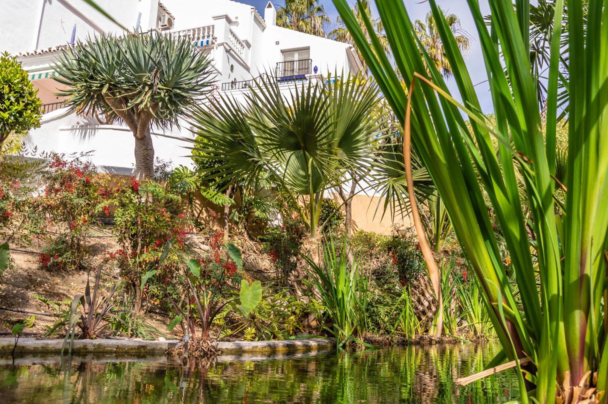 Rabat 2 Oasis * Nerja