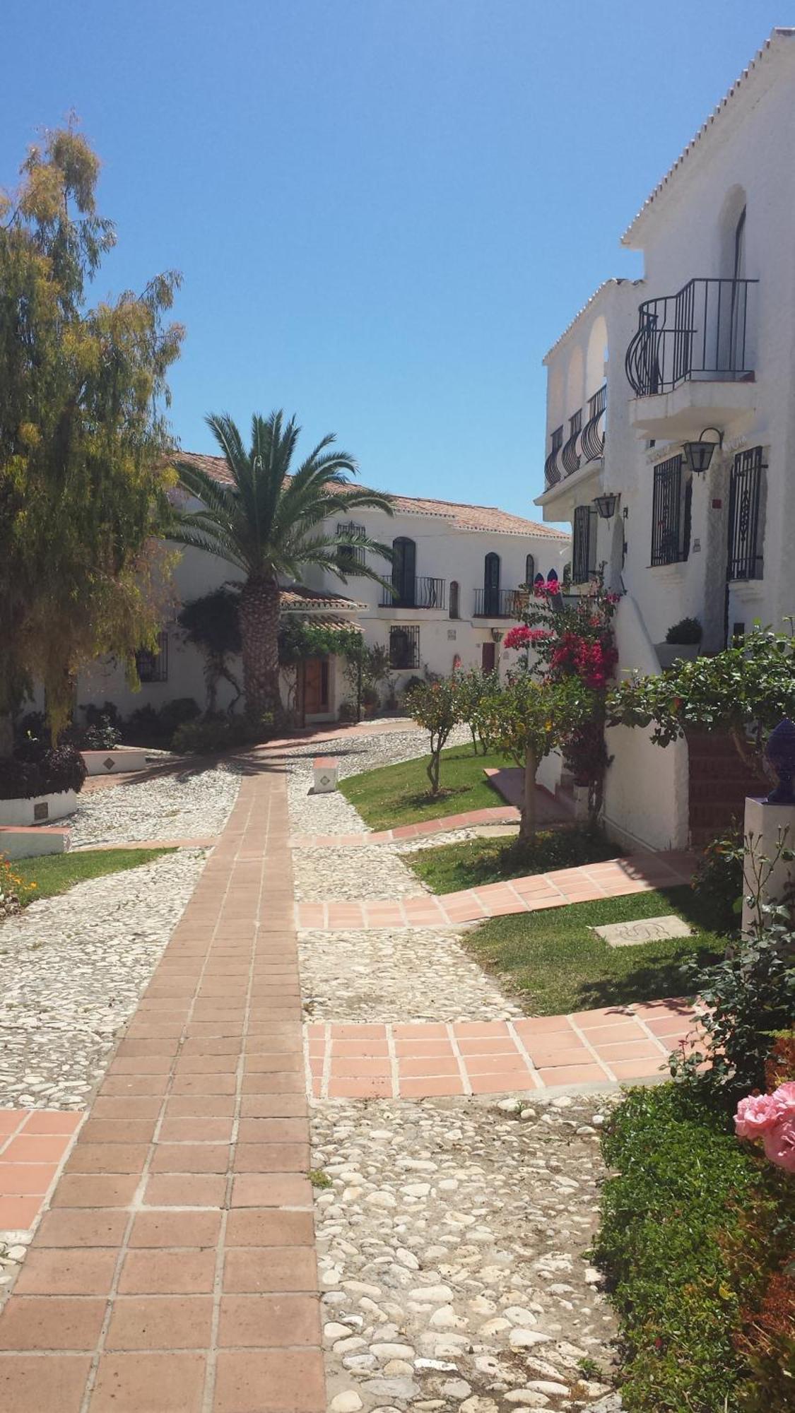 Crisantemos Villa Nerja