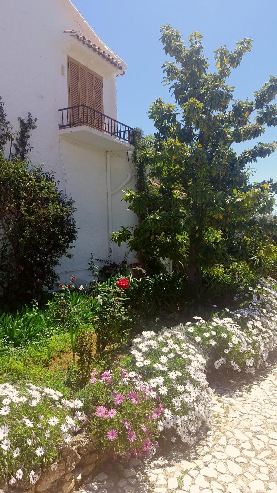 Crisantemos Nerja