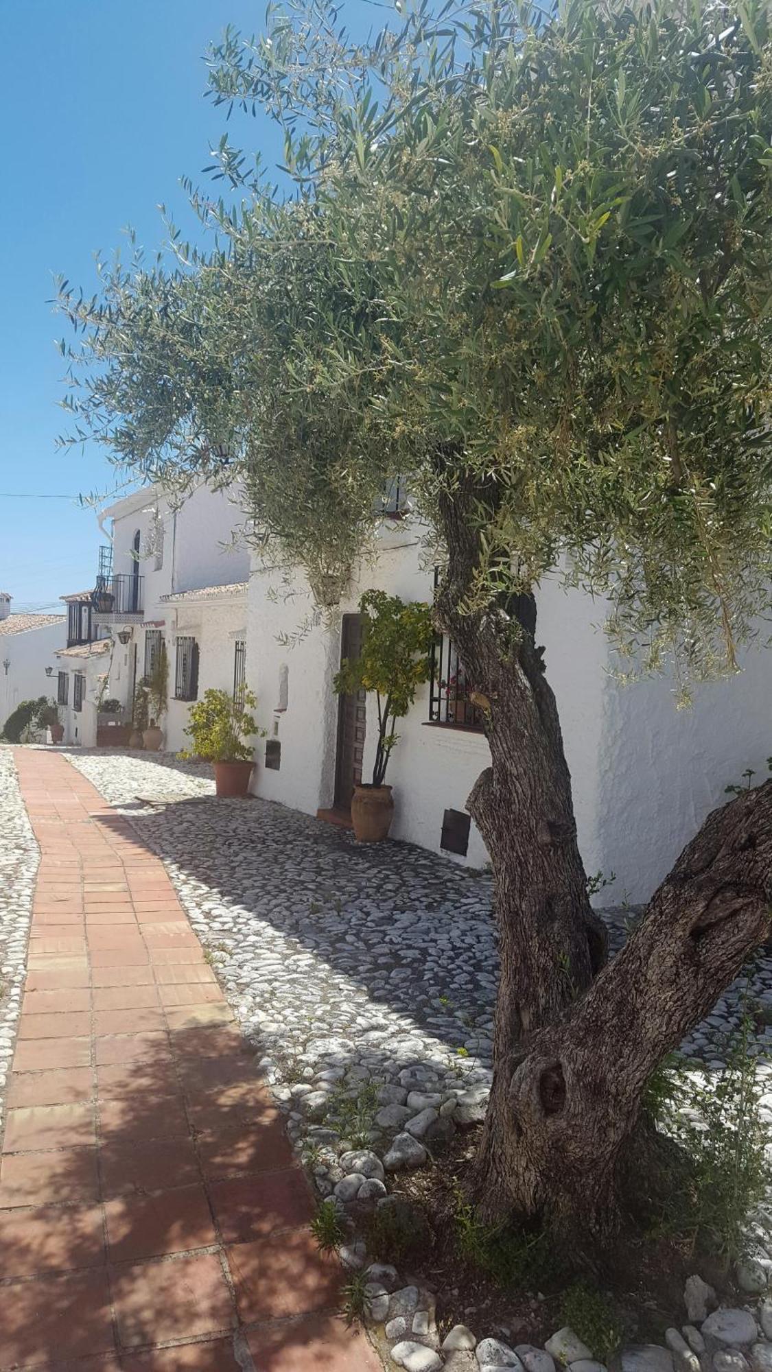 Villa Crisantemos
