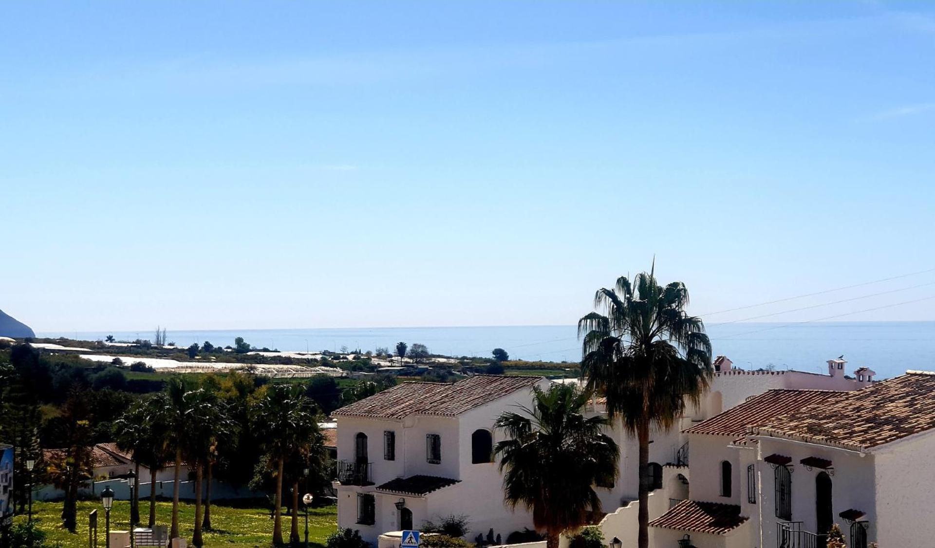 Crisantemos Villa *