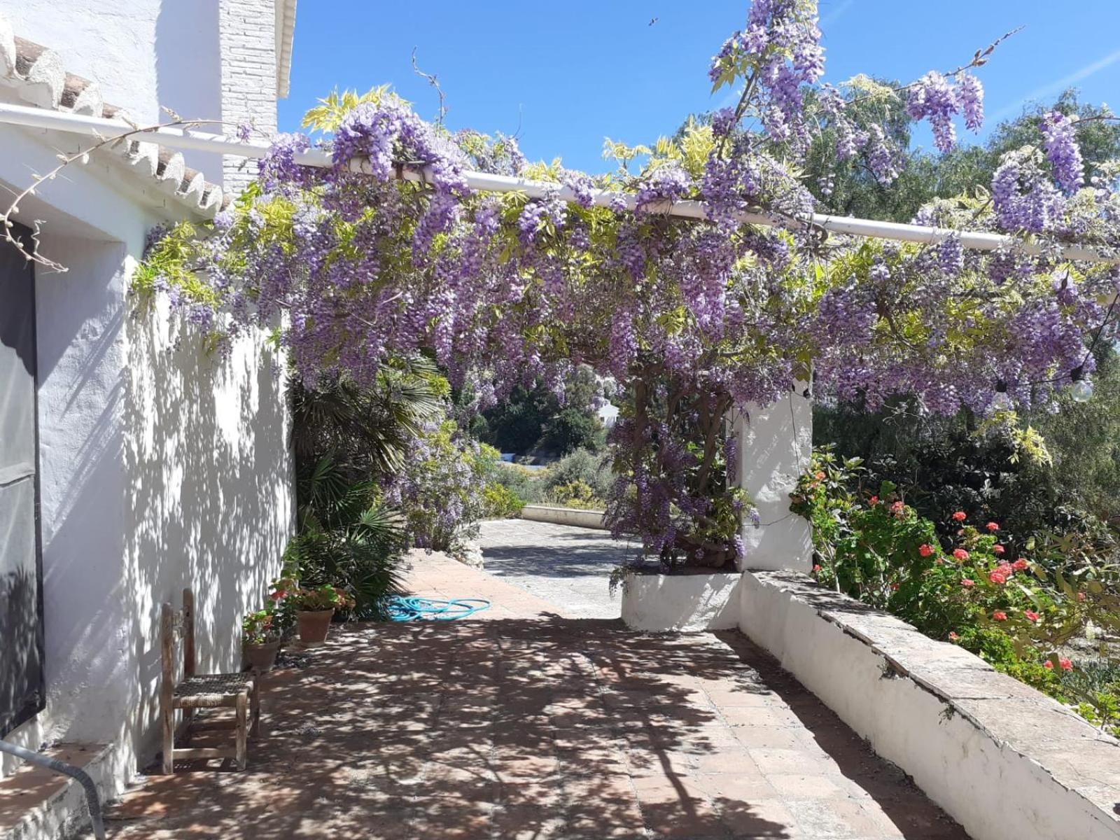 Cortijo Artist Paradise Сasa de vacaciones