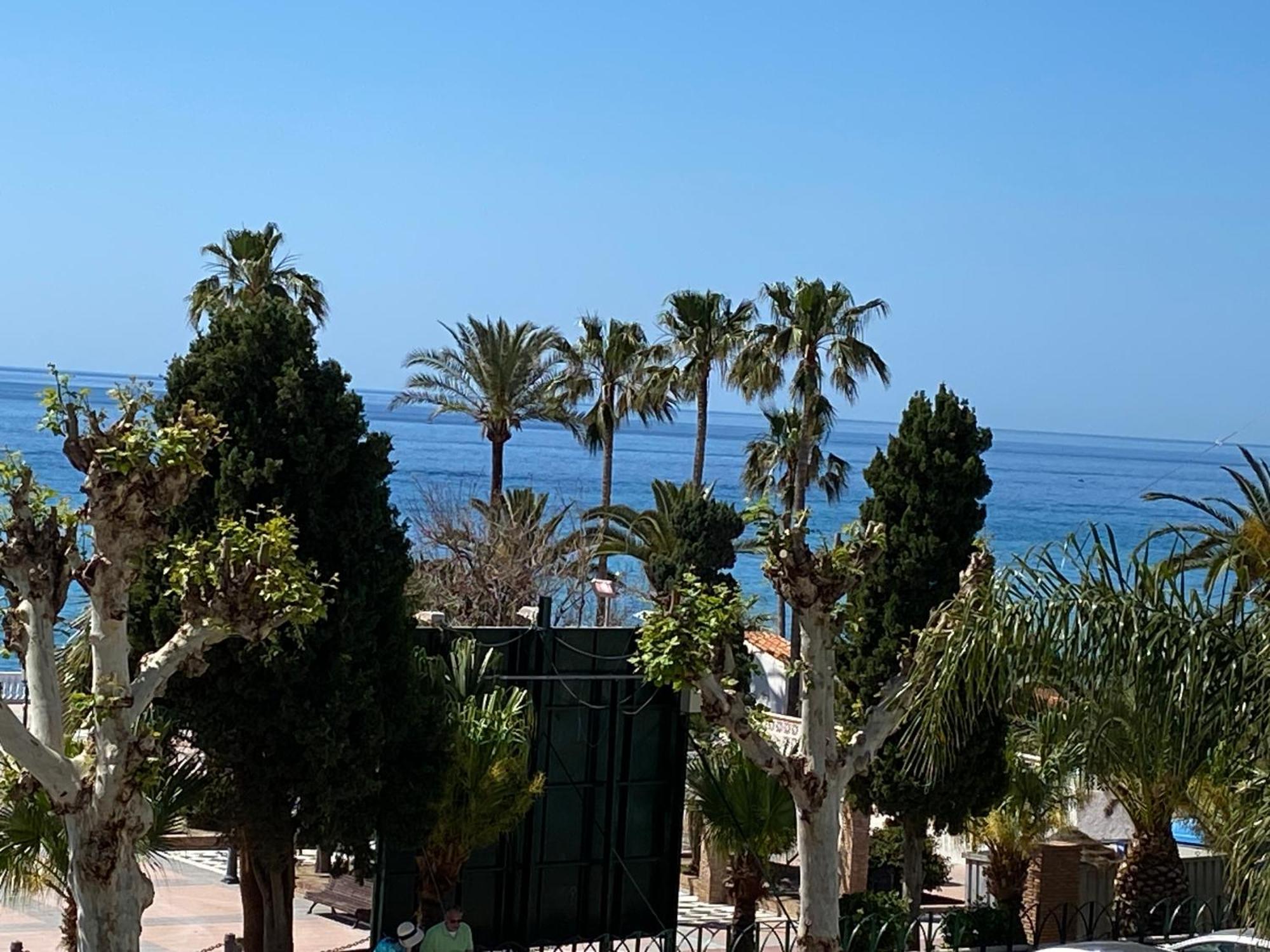 Apartamento Delfin *