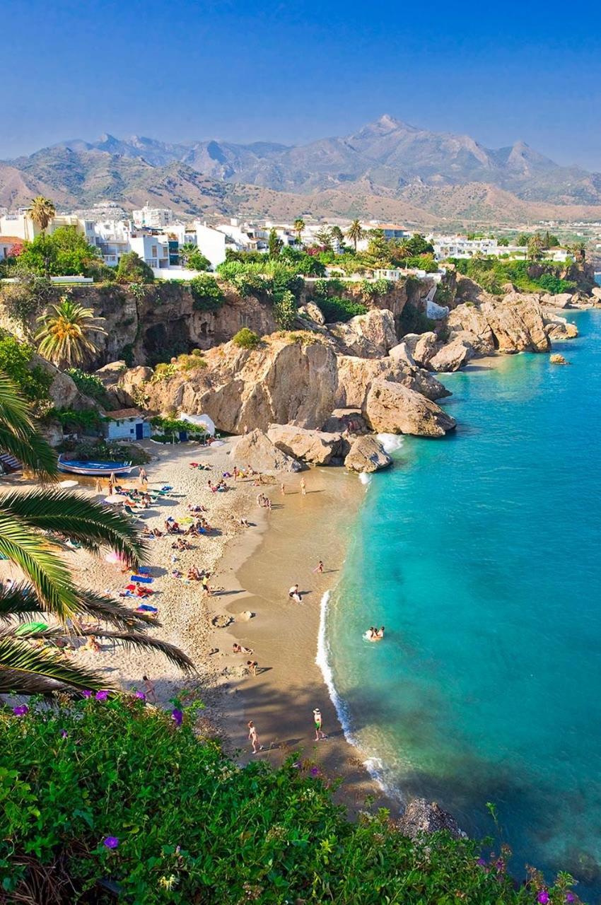 Wonder Paraiso *