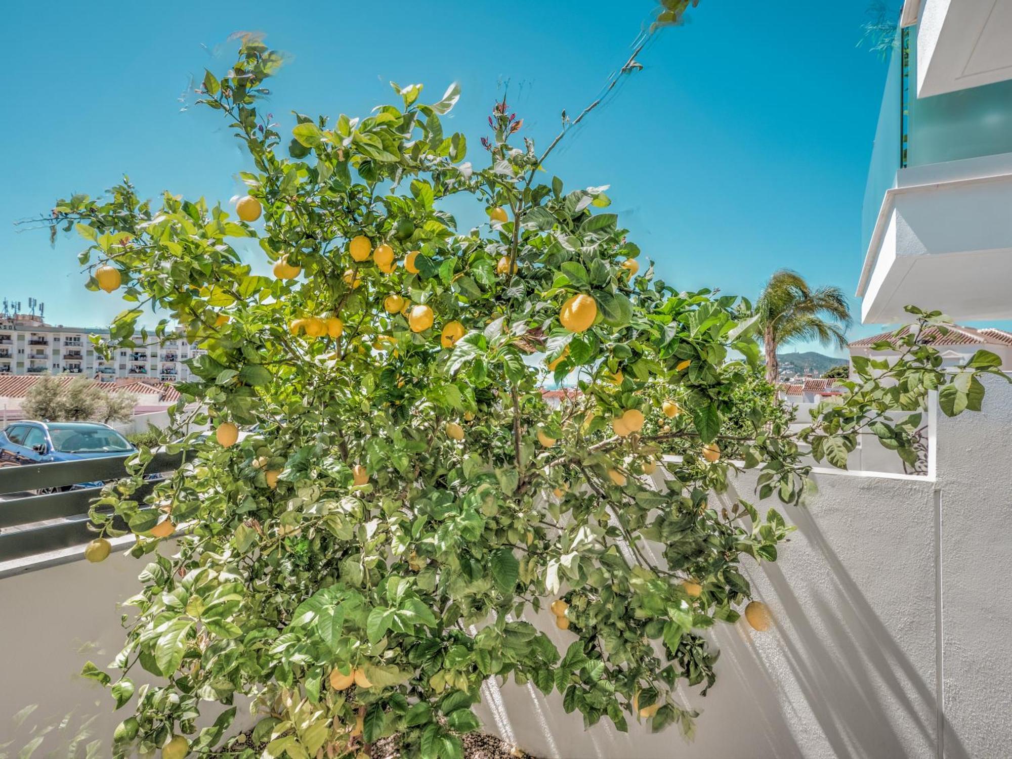 New Luxurious House With Rooftop Terrace And Pool *