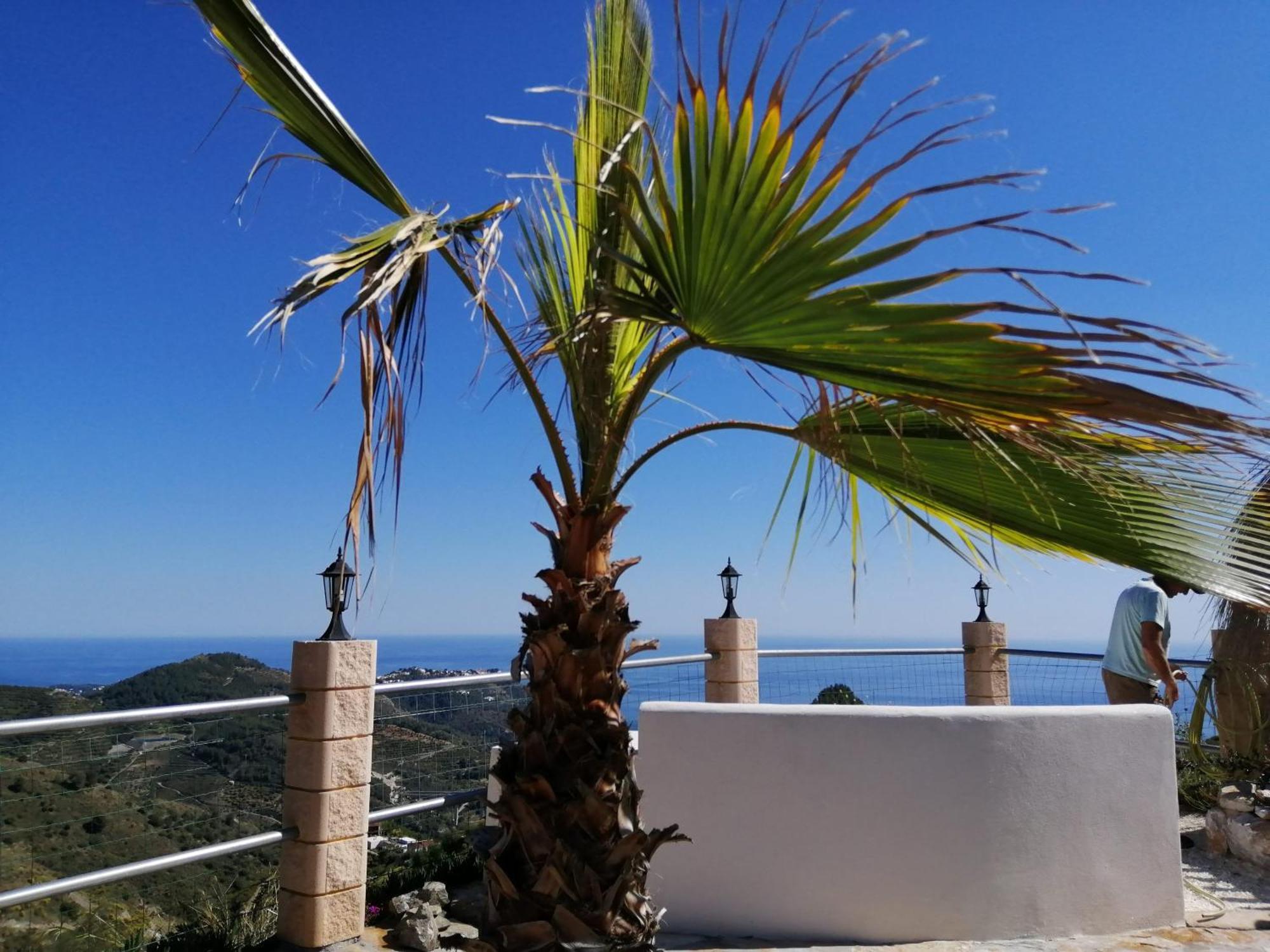 Holiday home Mariposa Mariposaholidays Nerja