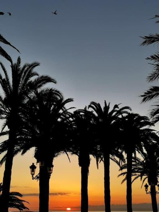 Luminoso Atico Cerca De La Playa Con Piscina Y Garaje Apartamento *