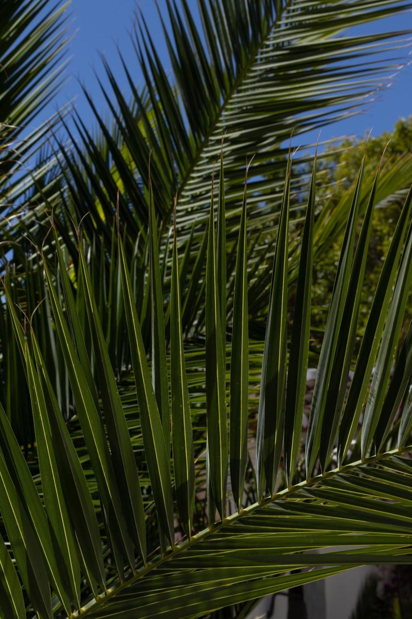 Bed and breakfast La Casa Del Burro Nerja