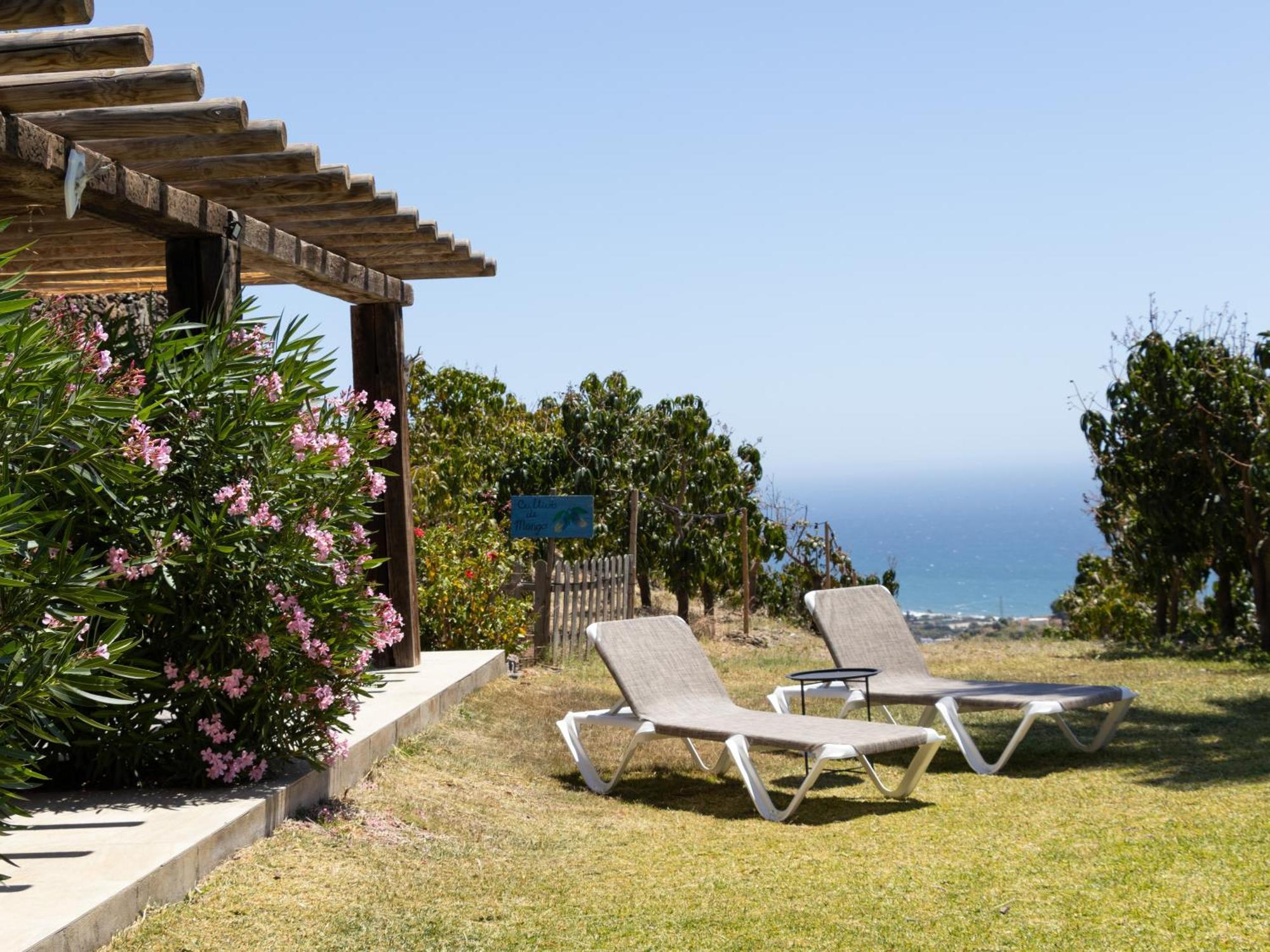 Bed and breakfast La Casa Del Burro Nerja