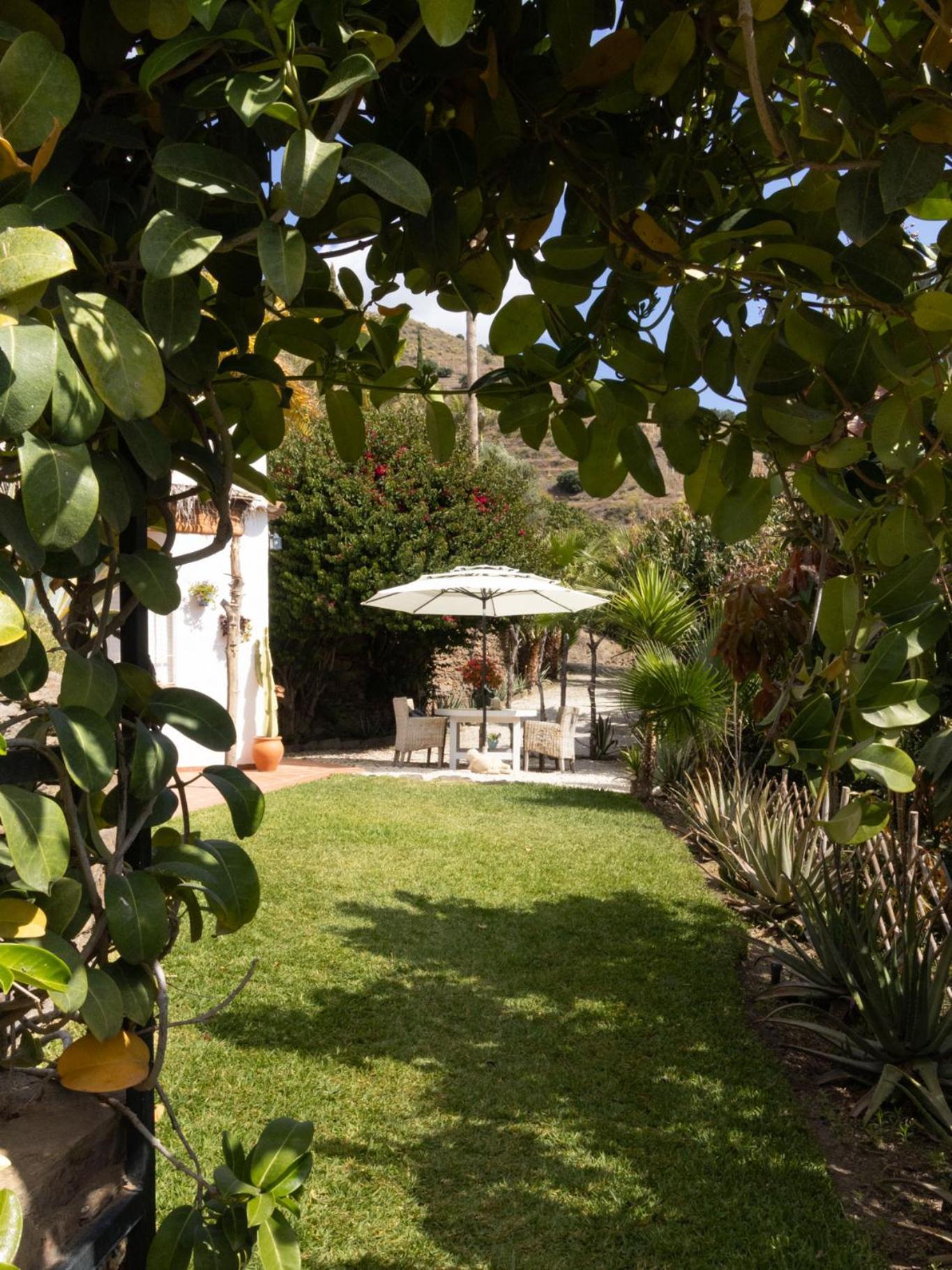 La Casa Del Burro