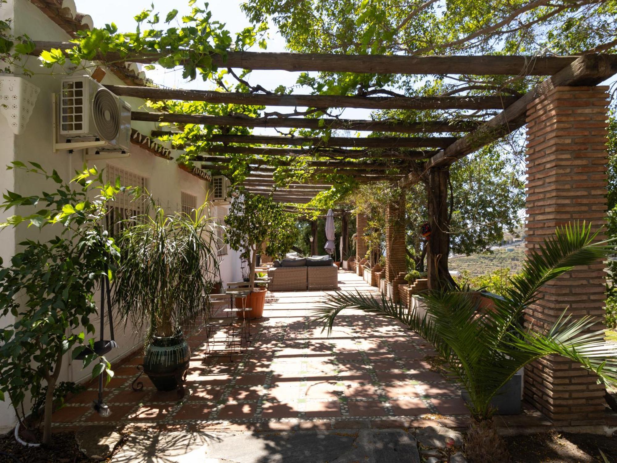 La Casa Del Burro Bed and breakfast