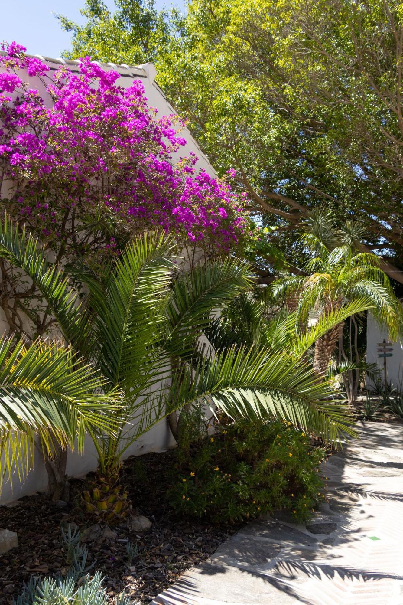 La Casa Del Burro Bed and breakfast *
