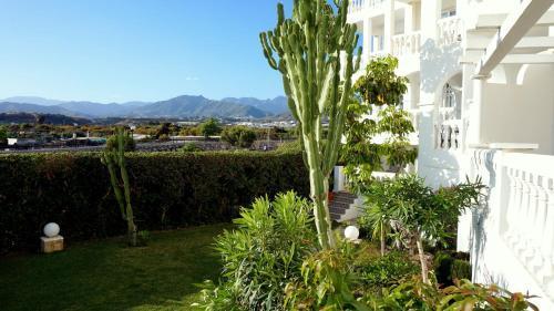 Apartamento Starnerja En Stella Maris