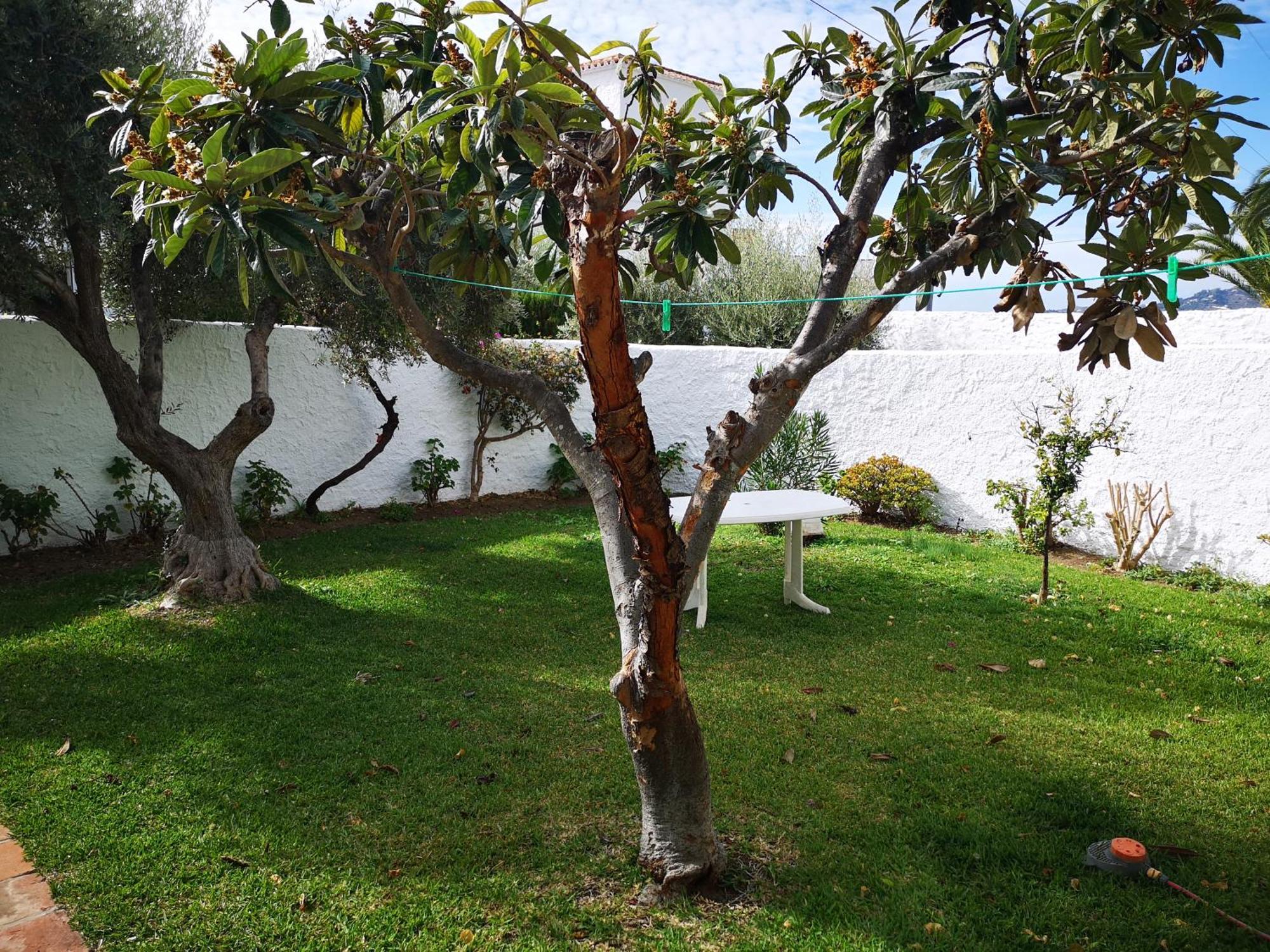 El Capistrano Resort 2*