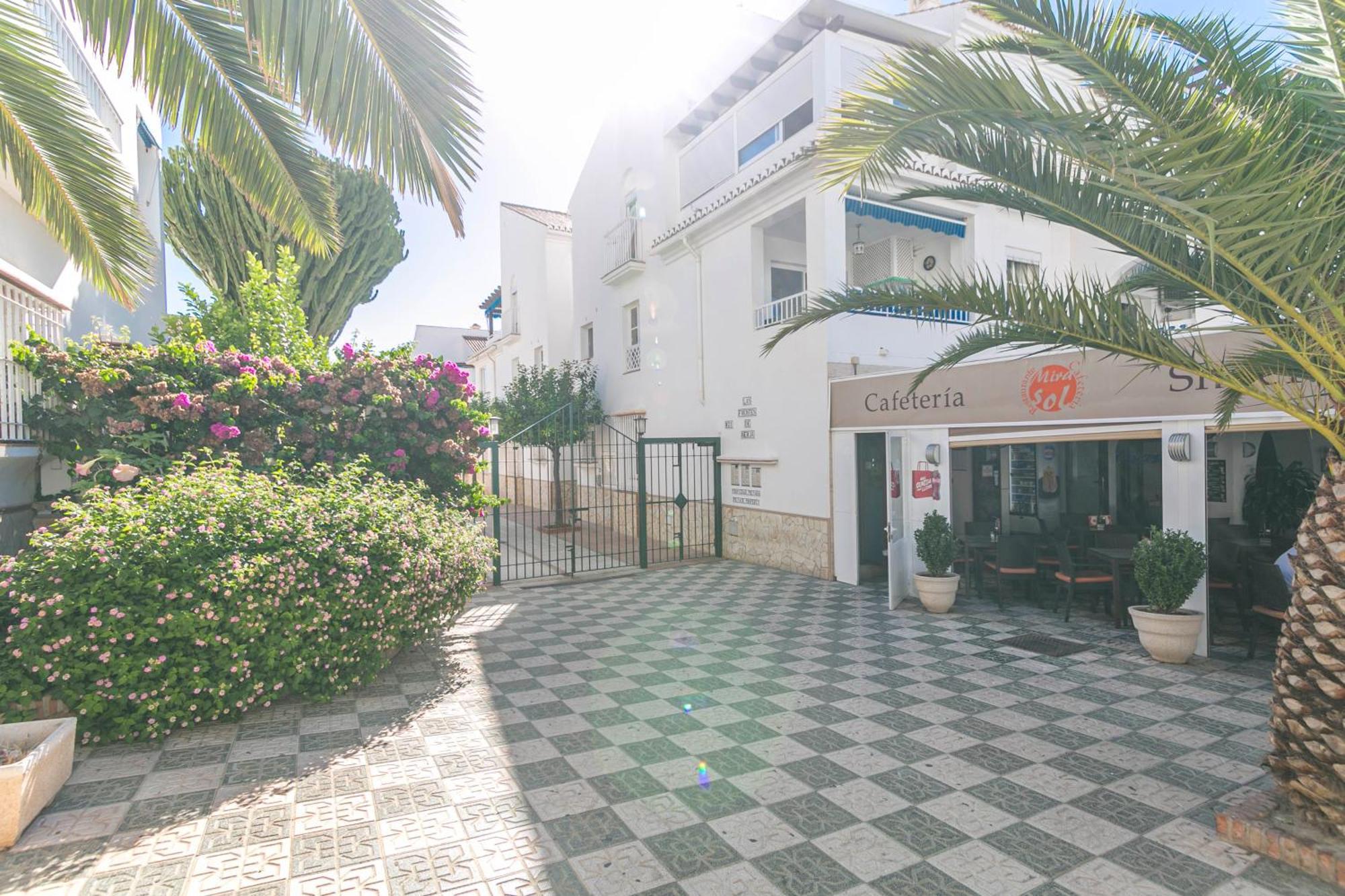 Alba Fuentes De Apartamento