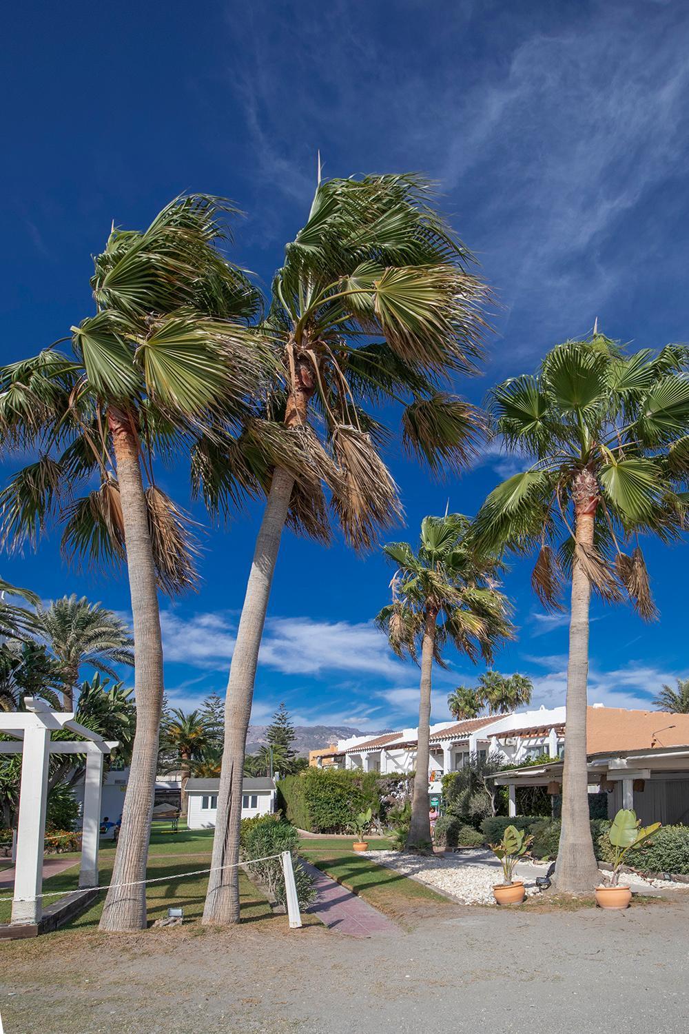 Paradise Apartamento *