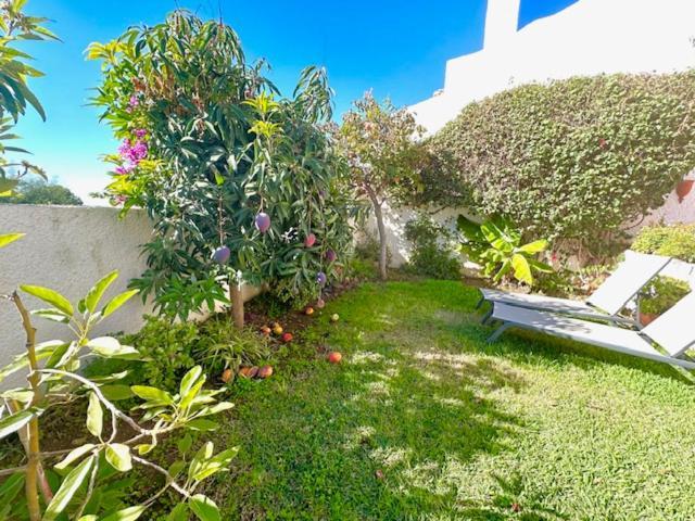 Holiday home Hibisco 69 - San Juan De Capistrano