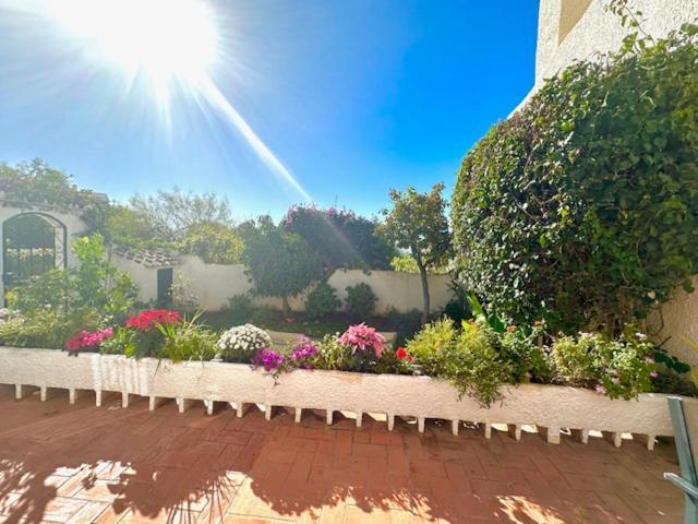 Hibisco 69 - San Juan De Capistrano * Nerja