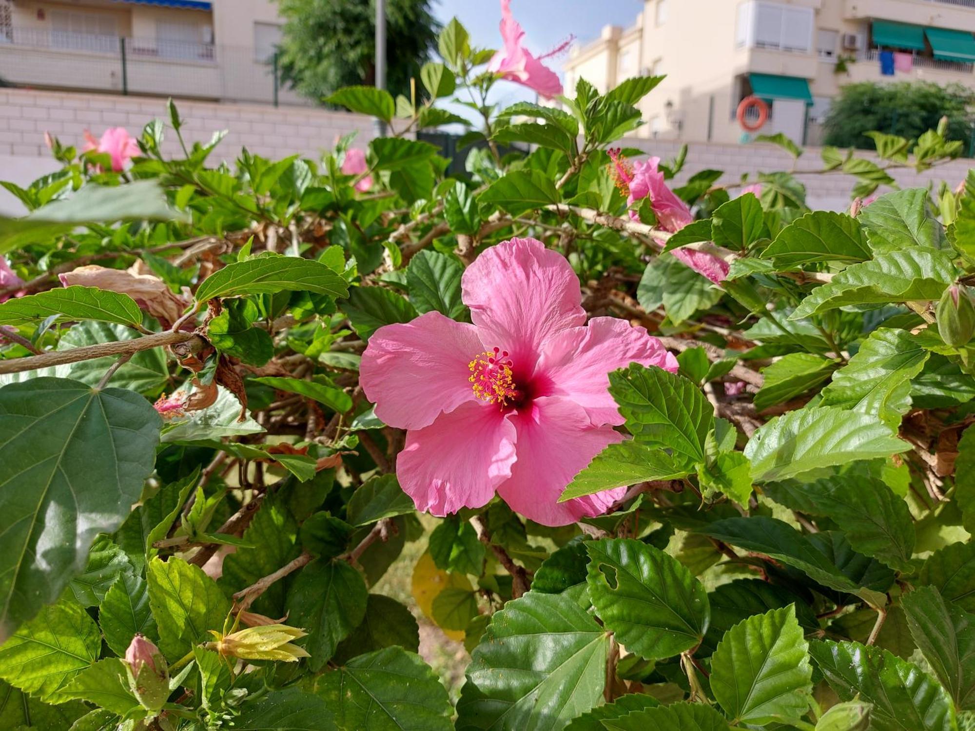 Apartamento Spacious Flat 100m From Beach-nerja-spain *