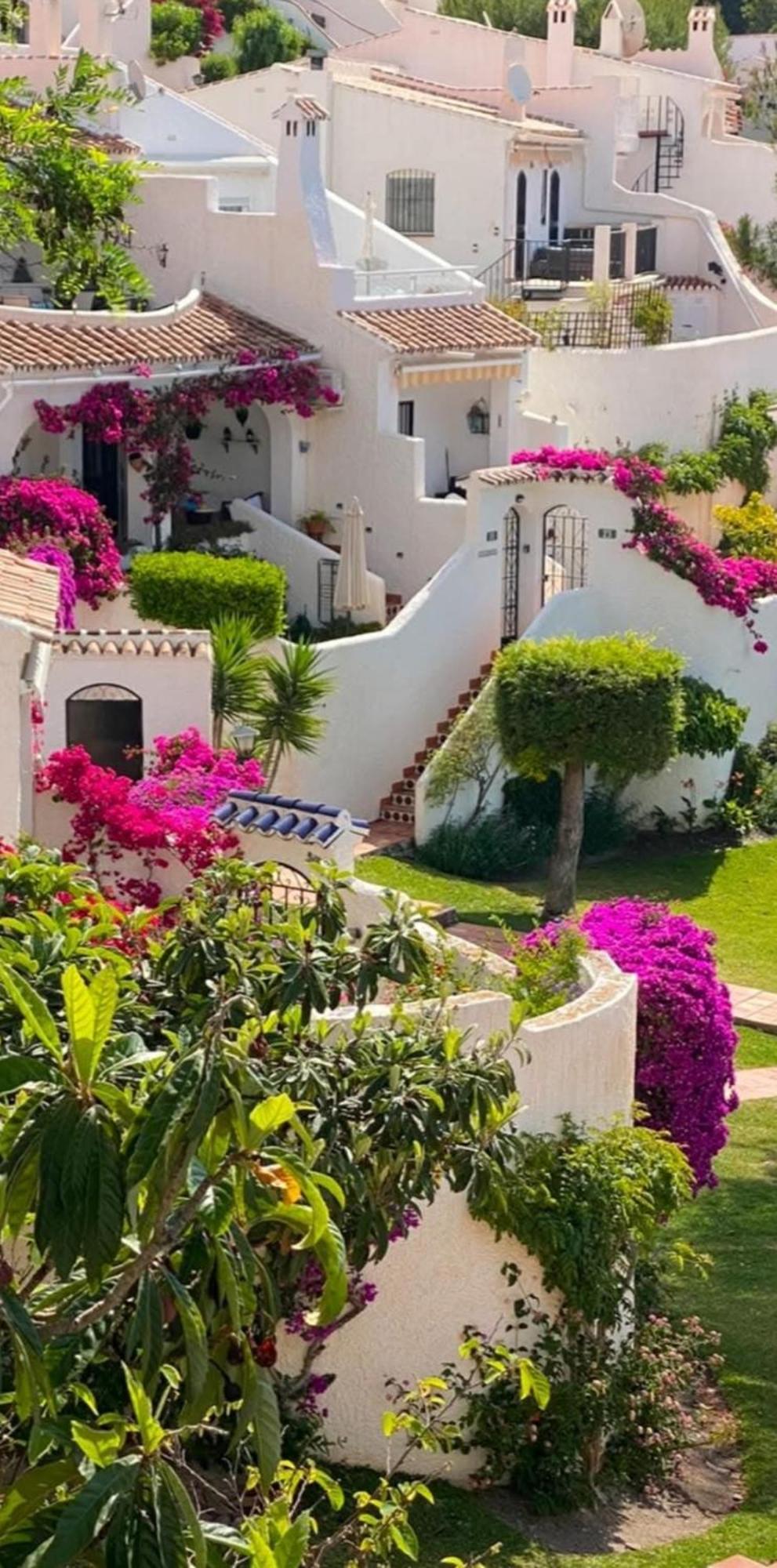 Hibisco 69 - San Juan De Capistrano Nerja
