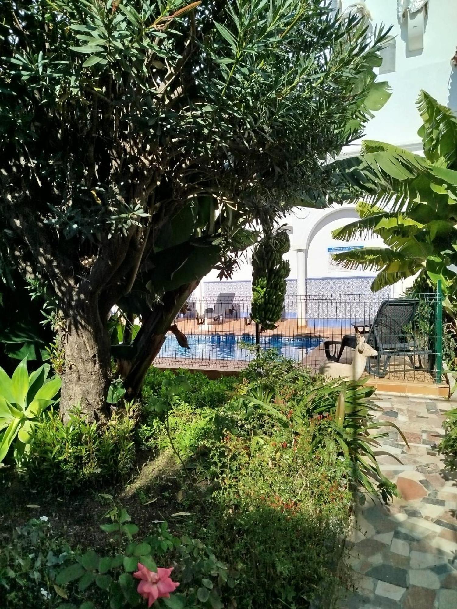El Jardin Benerja *
