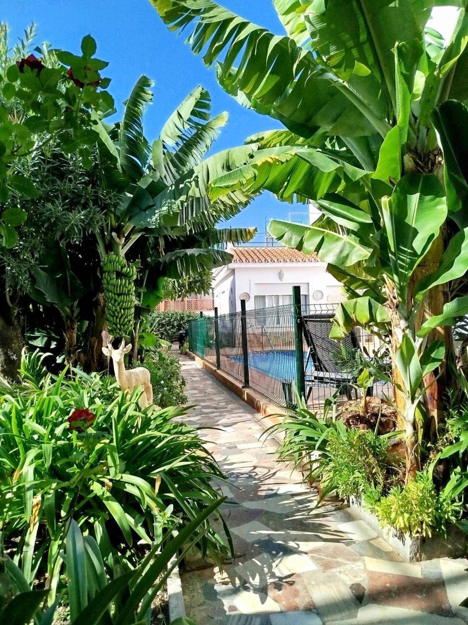 El Jardin Benerja Nerja