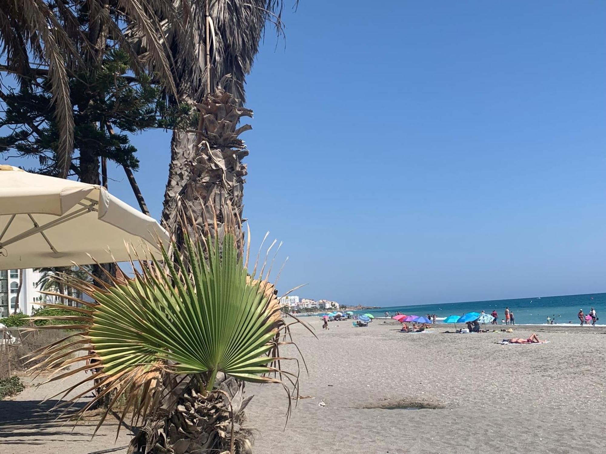 Excellent In In Local Area Apartamento *