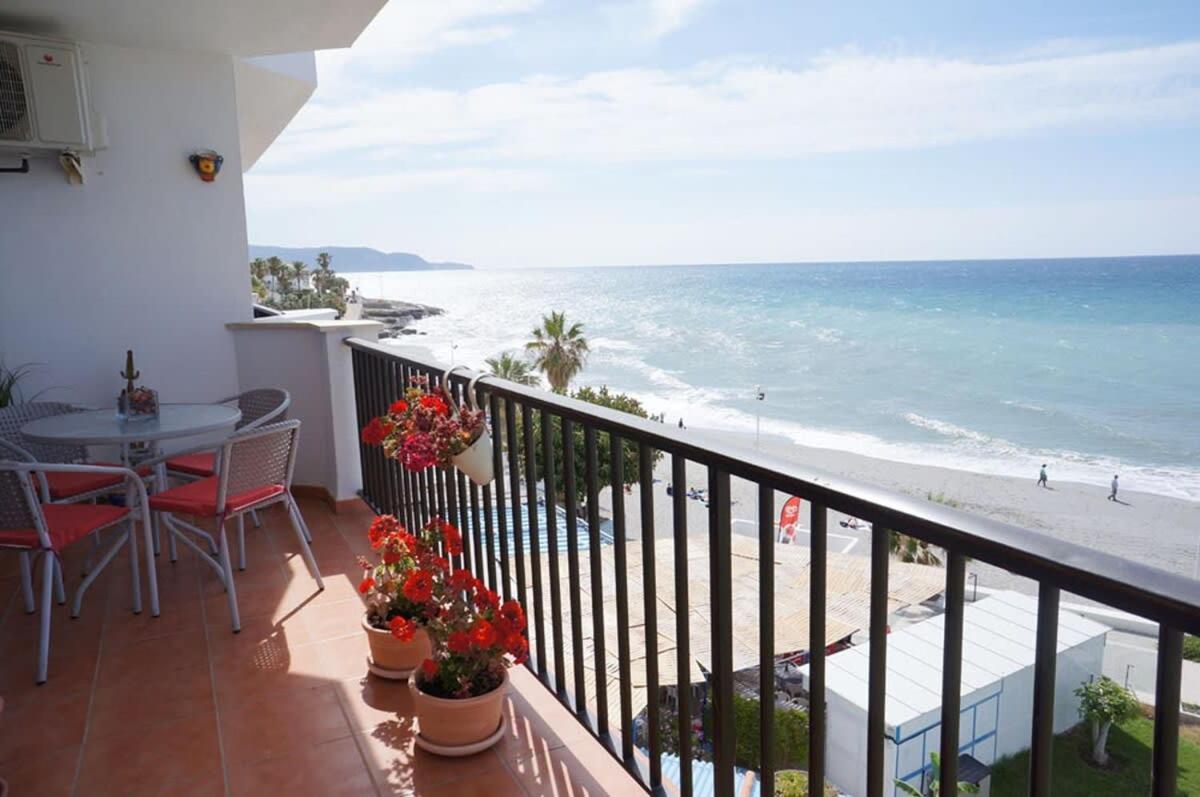 Arce 1 * Nerja