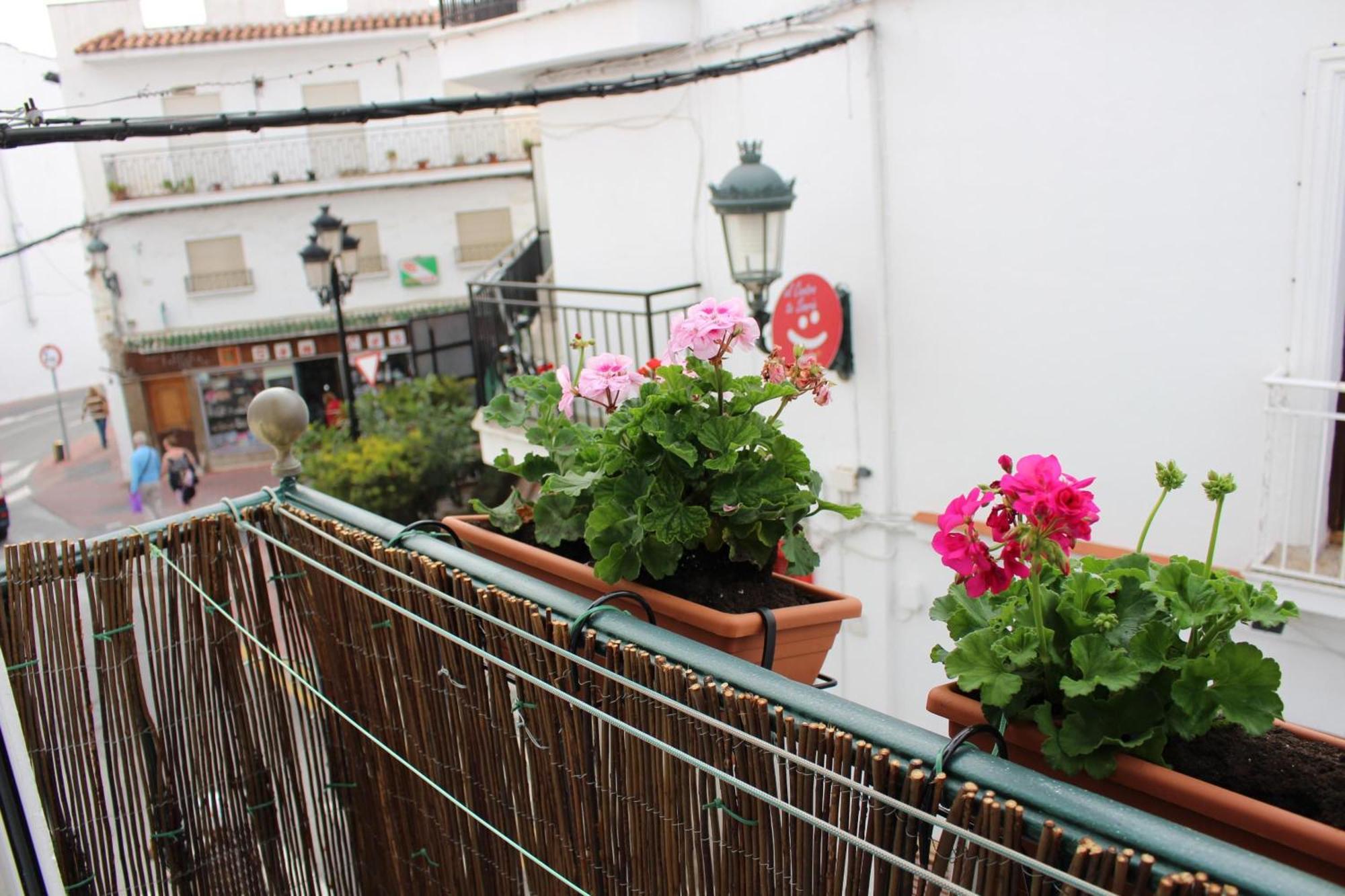 Estudio Nerja