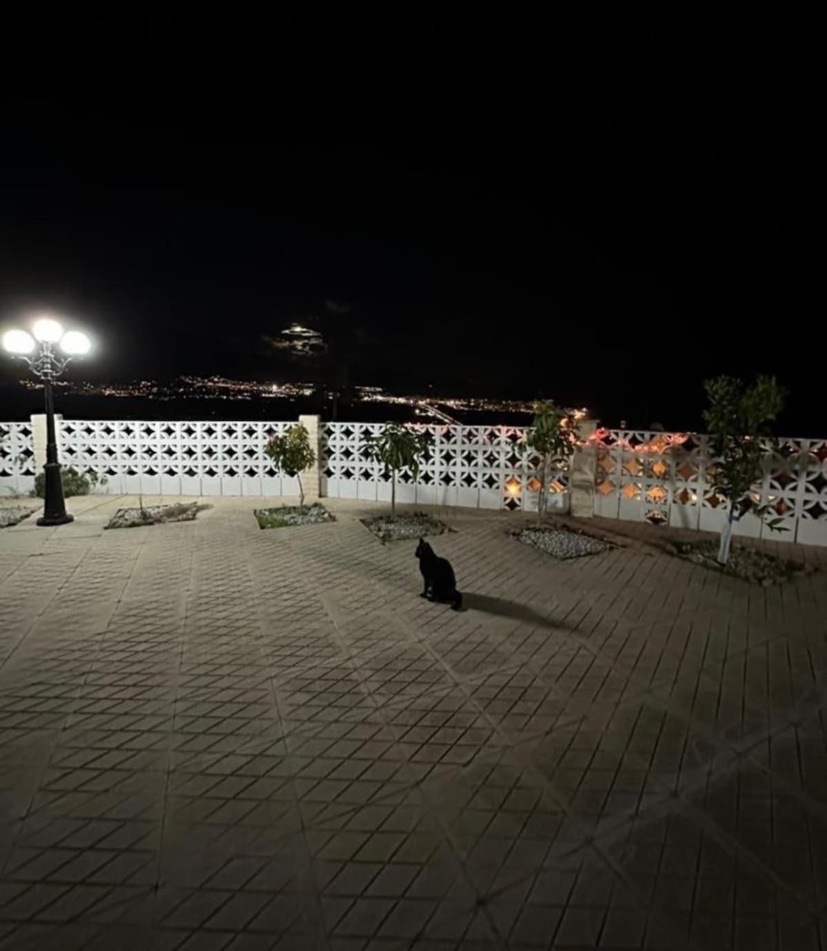 Carmen * Nerja