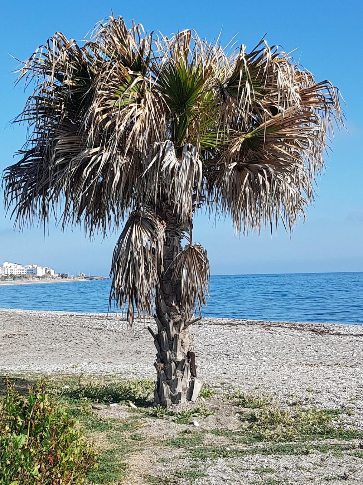 Holiday home Casa Mar Haus Mit Meerblick Und Sonnenterrasse