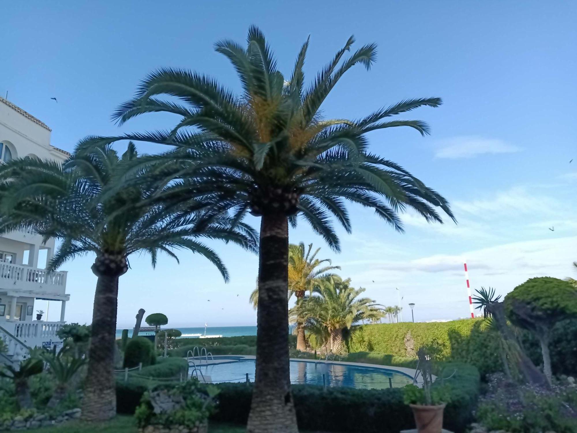 Apartment Stella Marris Bloque 1
